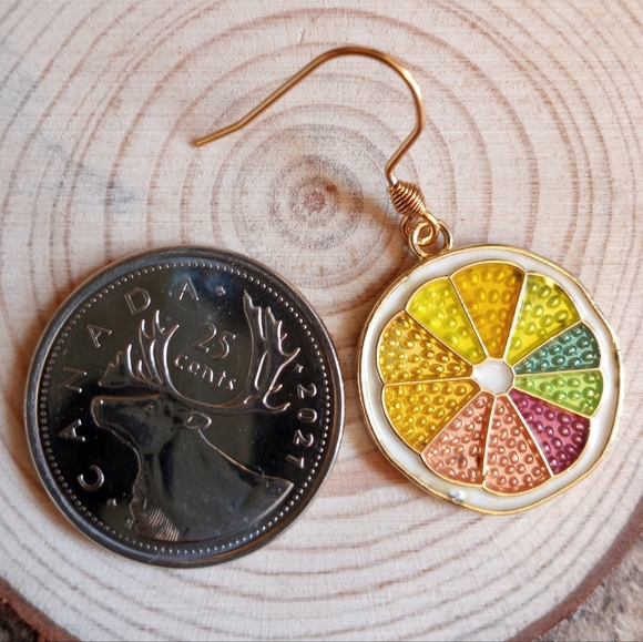 Rainbow Fruit Slice Earrings - Picture 3 of 3